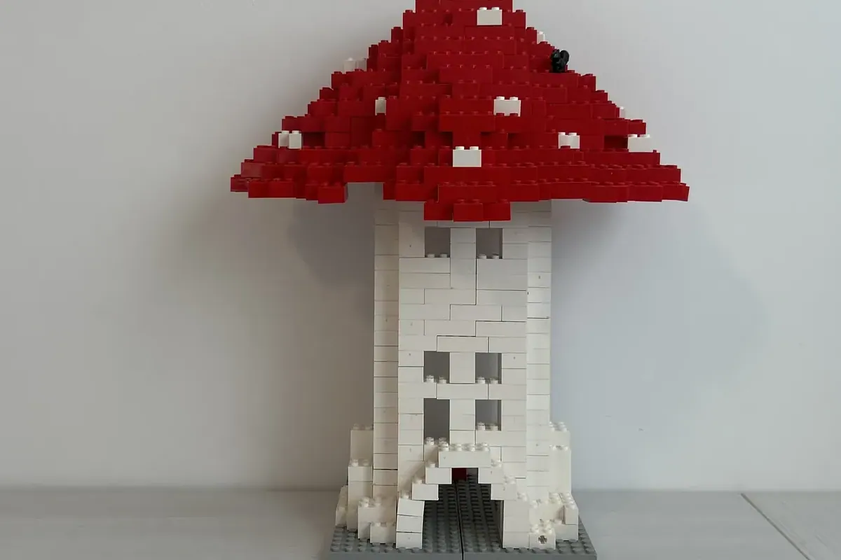 Image of the user's creation