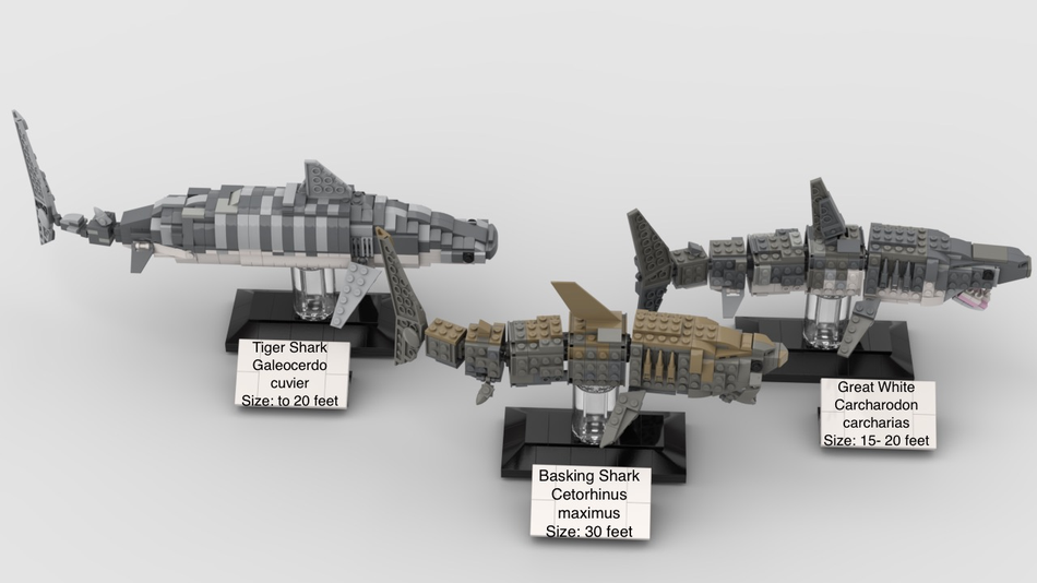 LEGO IDEAS Sharks of the World