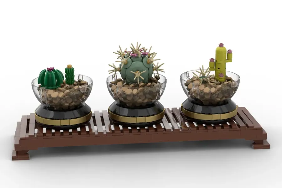 Cactus Terrariums Image