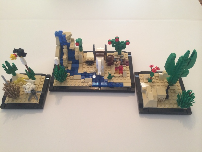 LEGO IDEAS - Desert in Bloom