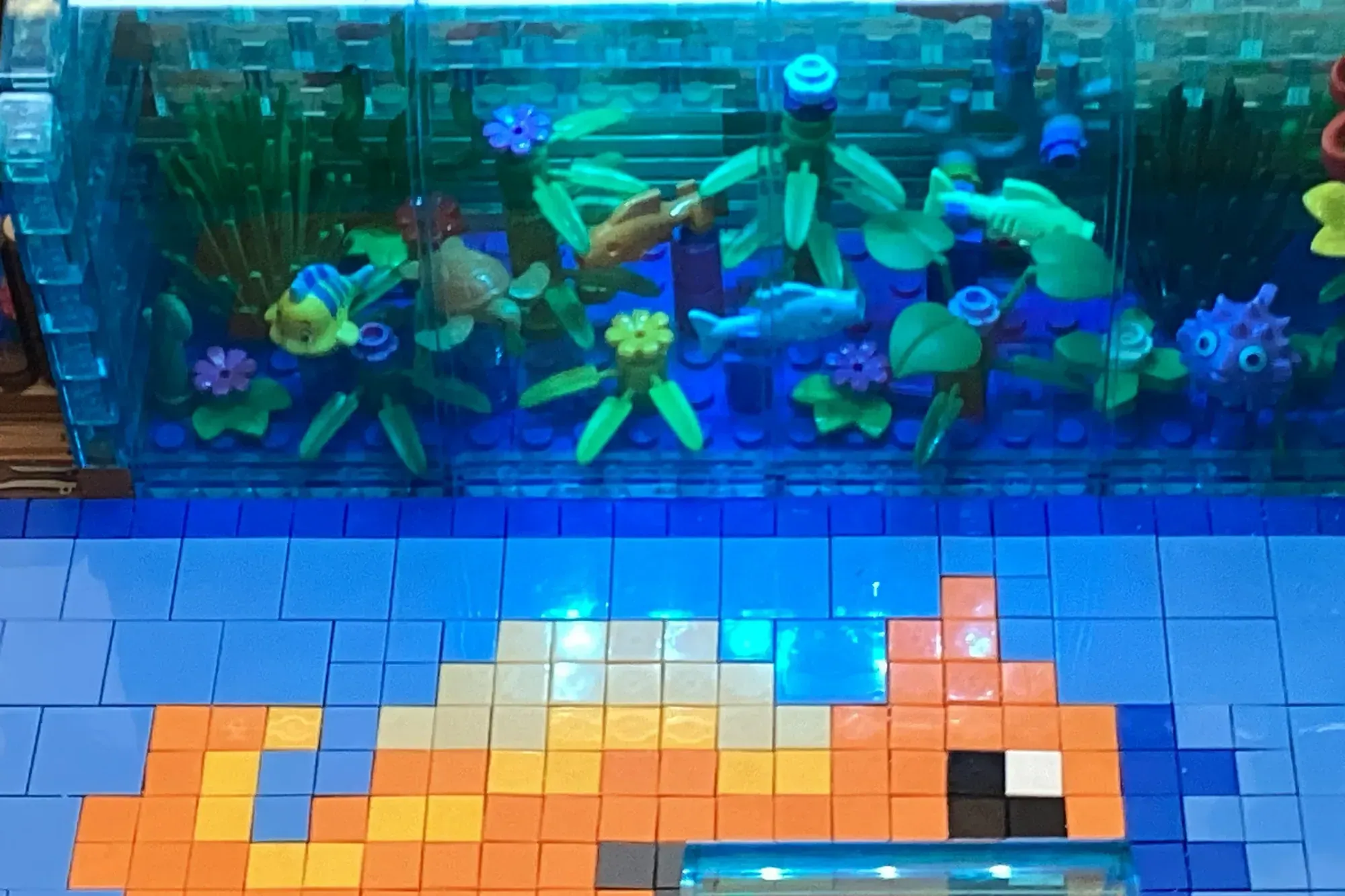 Image of the user's creation