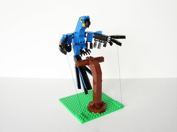 resize:800:450