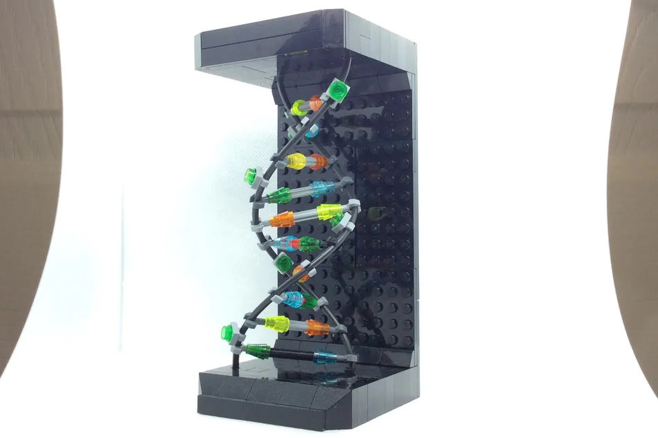 Lego discount dna model