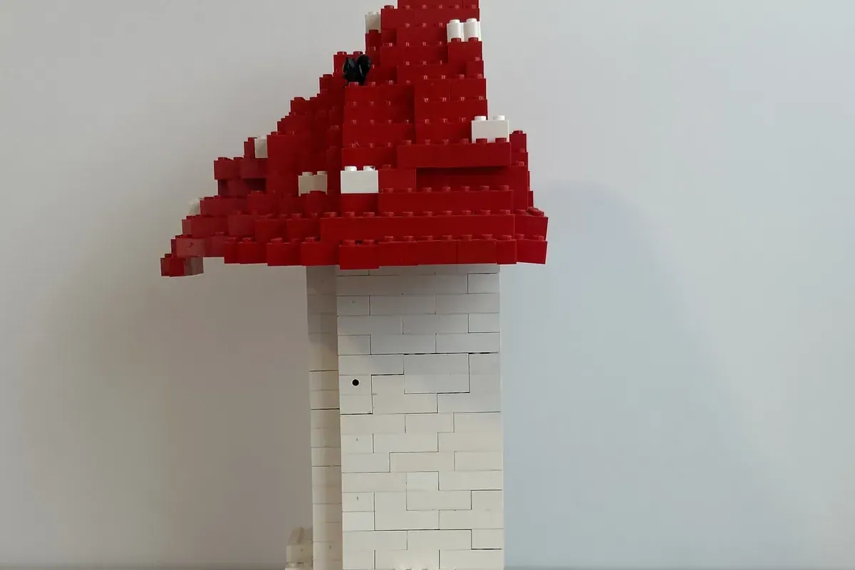 Image of the user's creation