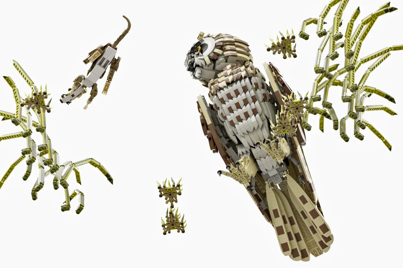 Image of the user's creation