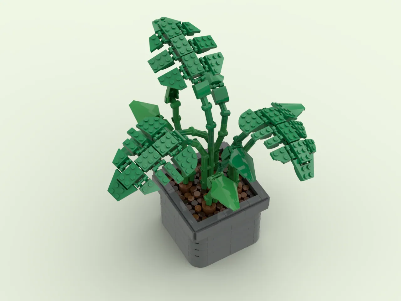 ableger monstera adansonii Monstera Adansonii Indonesian Marble Stecklinge main image 1