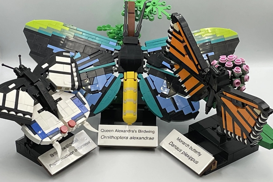 instinkt bryder daggry evne LEGO IDEAS - Iconic Butterflies