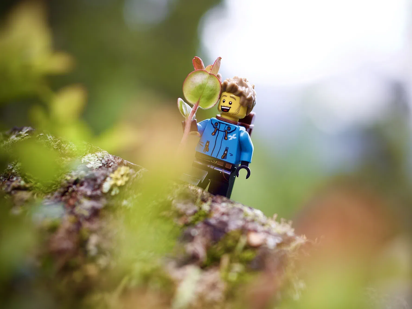 Nature lego discount