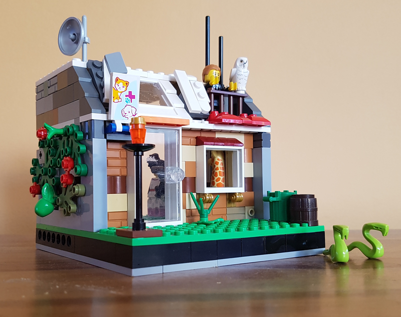 LEGO IDEAS Town Pet Shop And Vet