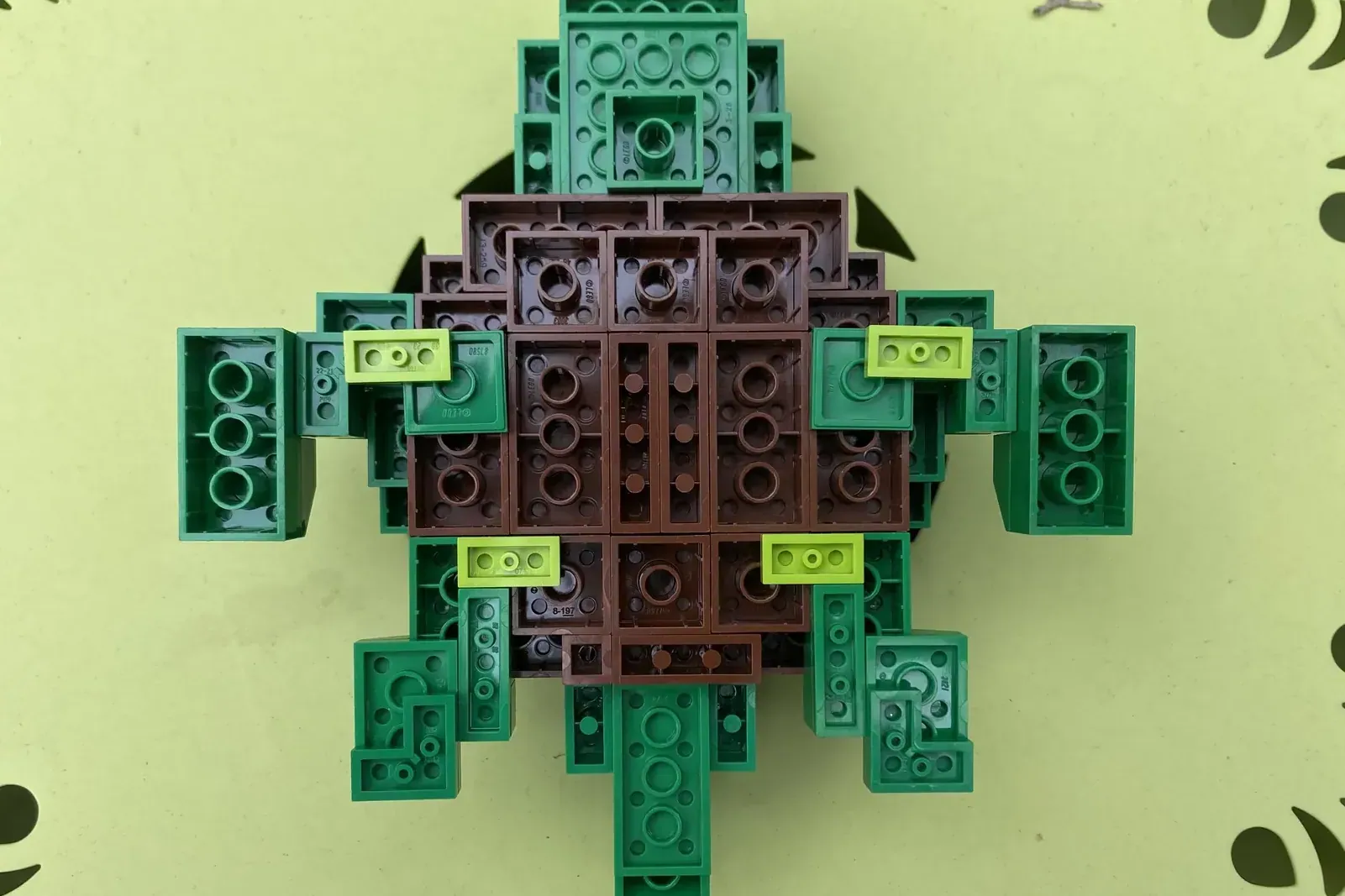 Image of the user's creation