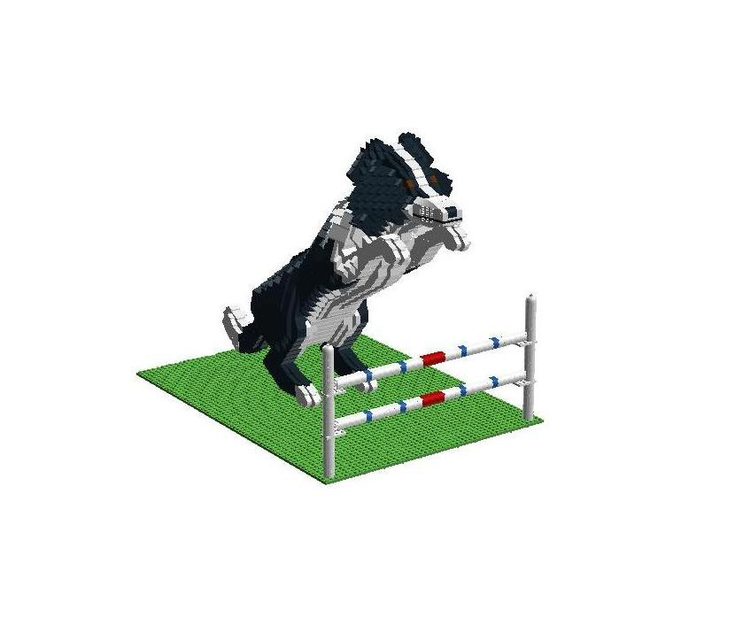 LEGO IDEAS Border Collie Agility